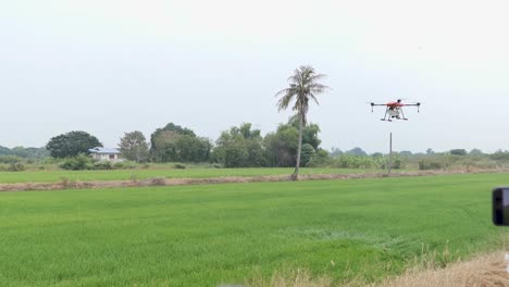 Landwirtschaftliche-Drohne-Fliegt-über-Grünes-Feld
