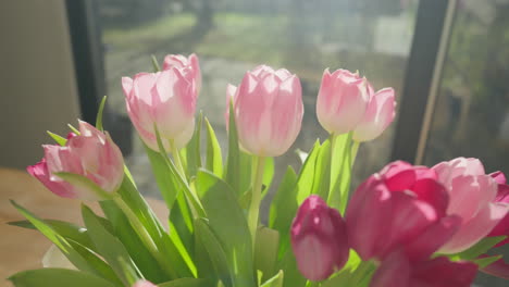 Close-up-dolly-out-of-pink-tulips-in-vase-on-wooden-table,-bathed-in-sunlight