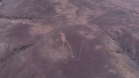 Blythe-Intaglio-as-Seen-from-Sky,-Aerial-Drone-Footage-of-Ancient-Geoglyph-on-Sonoran-Desert-Ground-in-Arizona