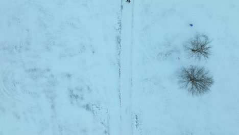 Blick-Aus-Der-Vogelperspektive-Auf-Einen-Schneebedeckten-Park-Mit-Kahlen-Bäumen,-Die-Lange-Schatten-Werfen-Und-Ein-Natürliches-Muster-Und-Ein-Gefühl-Der-Ruhe-In-Der-Wintersaison-Erzeugen