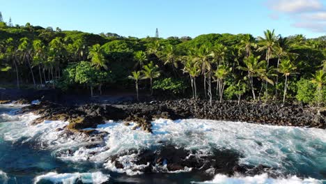 Diaaufnahme-Von-Rechts-Nach-Links-Mit-Blick-Auf-Den-Strand-Der-Insel-Hawaii-Im-Südosten-Mit-Schwarzen-Felsen-Und-Natürlichem-Wald