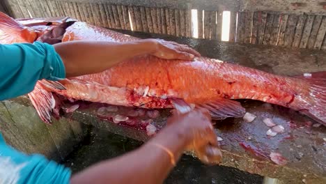 Close-up-Man-hands-working-cut-and-open-longside-snapper-cubera-fish,-street-fish-market