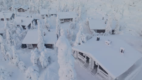 Aerial-view-circling-a-snowy-tree-in-middle-of-cabins,-winter-morning-in-Lapland