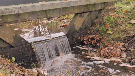 Water-flows-over-a-wooden-dam-with-fallen-autumn-leaves