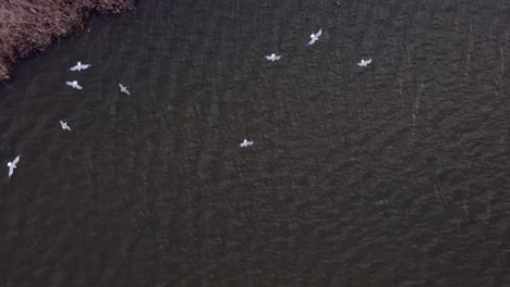 Eine-Luftaufnahme-Des-Meadow-Lake-In-Queens,-New-York-An-Einem-Sonnigen-Tag