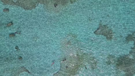 Luftaufnahme-Von-Oben-Von-Menschen,-Die-In-Seichten-Gewässern-Im-Karibischen-Meer-Schwimmen