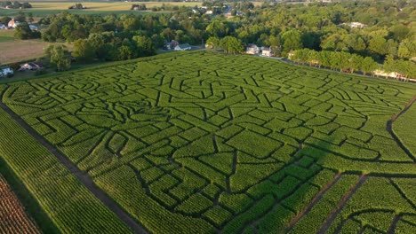 Aerial-view-of-a-corn-maze-with-intricate-paths-in-a-lush-green-corn-field-at-sunset-in-late-summer-in-rural-USA