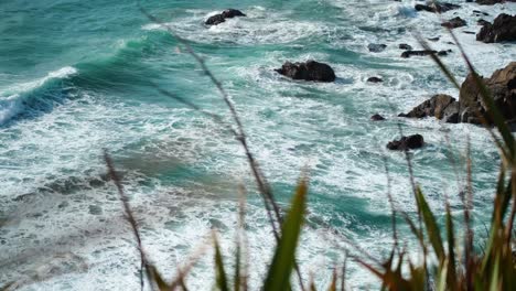 Ocean-waves-crash-through-wind-blown-grass-in-a-mesmerizing-coastal-dance