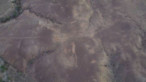 Drone-Shot-Above-Intaglios-in-Blythe,-Arizona,-Ancient-Geoglyphs-in-Sonoran-Desert