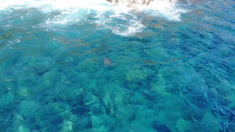 Schildkröte-Schwimmt-Auf-Der-Meeresoberfläche-In-Richtung-Kamera-Mit-Klippen-Und-Wellen-Im-Hintergrund