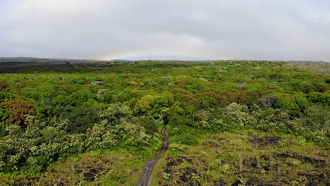 Vorwärtsflug-über-Den-Wald-Am-Fuße-Des-Kilauea-Mit-Einem-Regenbogen-Im-Hintergrund