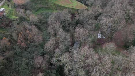 Abgeschiedenes-Waldgebiet-In-Barrias,-Felgueiras,-Portugal---Luftaufnahme