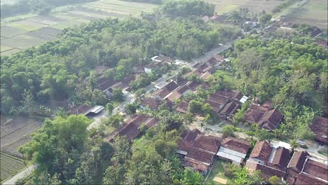 Abgelegenes-Gebiet-Und-Landwirtschaftliche-Flächen-In-Blora,-Zentral-Java,-Indonesien_Pan-Shot