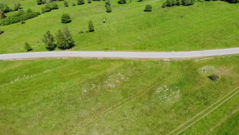 Aerial-top-down-view-on-rural-asphalt-road-passing-green-meadow