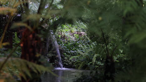 Ruhiger-Blick-Auf-Einen-Kleinen-Wasserfall,-Der-Anmutig-In-Den-See-Fließt,-Eingerahmt-Von-üppigen-Grünen-Waldpflanzen