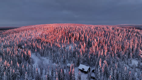 Aerial-view-circling-over-snowy-forested-hills,-in-Syote-National-park,-sunrise-in-Finland