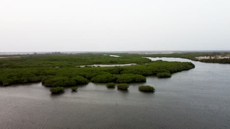 Drohnenaufnahme-Eines-Flusses-In-Den-Mangroven,-Senegal