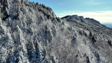 Grandfather-Mountain-NC,-Rime-Ice-on-trees-aerial,-Appalachian-Mountain-aerial-scene