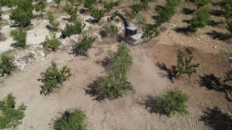 Drone-view-of-digger-working-among-trees-in-agricultural-land
