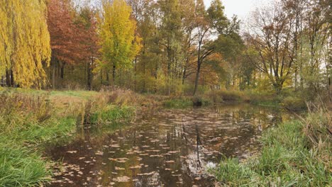 Teich-Bedeckt-Mit-Abgefallenen-Blättern-In-Einem-Herbstpark