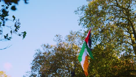 Irish-and-Palestine-national-flags-fly-in-solidarity-at-National-march-for-peace