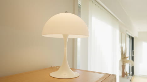 Elegante-Weiße-Lampe-Auf-Einem-Holzregal-Mit-Grüner-Pflanze-Und-Golddekor