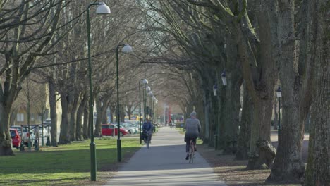 Locals-Biking-In-The-Tree-lined-Bike-Way-In-Malmo,-Sweden