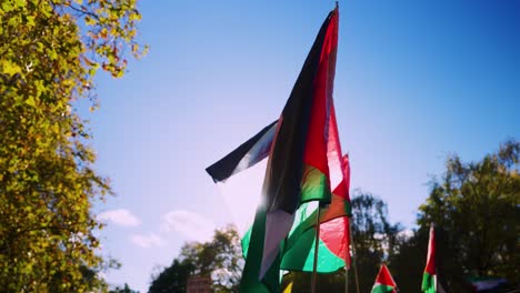 Los-Manifestantes-Enarbolan-La-Bandera-Nacional-De-Palestina-En-Una-Marcha-Nacional-Pacífica.