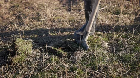 Person-In-Rubber-Boot-Digging-Soil-On-Field-With-Shovel-For-Planting-Tree