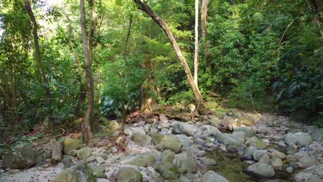 Entdecken-Sie-Die-Natur-An-Einem-Felsigen-Bach,-Umgeben-Von-Vegetation-In-Minca,-Kolumbien
