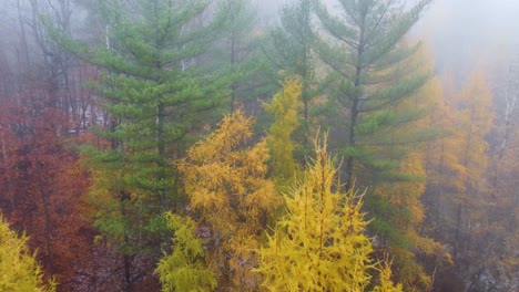 FPV-multicolor-forest-aerial-in-nature-landscape,-fog-in-morning-Mount-Washington