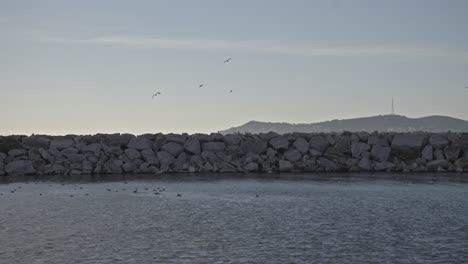 Birds-and-breakwater,-forming-millions-of-spray