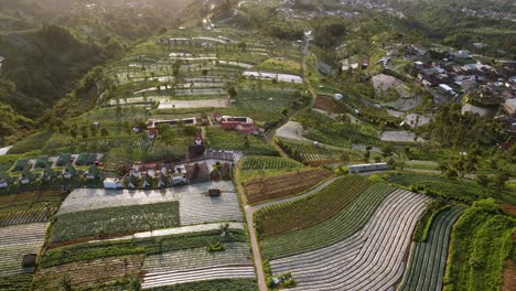 Aerial-view-of-vegetable-plantation-and-countryside-on-the-slope-of-Sumbing-Mountain,-Indonesia