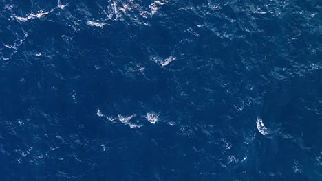 Drone-zenithal-view-of-whitecap-ocean-waves-slowly-building-and-fading-on-water