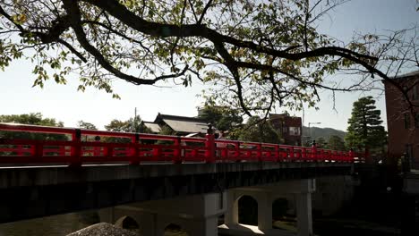 People-Walking-Across-Nakabashi-Bridge-in-Takayama-With-Tree-Branch-Overhead