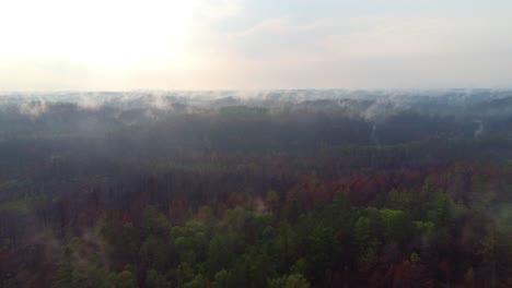 Aerial-View-Of-Charred-Forest-Landscape-With-Pockets-Of-Smoke-Seen-In-Distance-Near-Fox-Creek