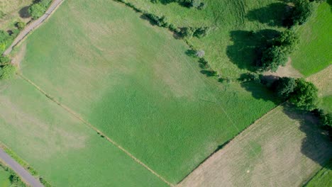 Green-cultivated-fields.-Aerial-top-down-forward