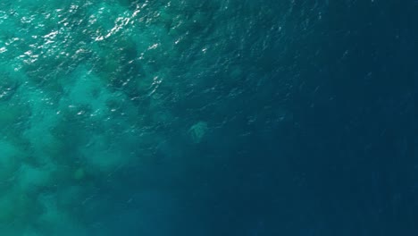 Luftaufnahme-Des-Korallenriffs-Aus-Der-Vogelperspektive,-Um-Tiefblaues-Meerwasser-In-Der-Karibik-Abzuwerfen