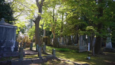 Japanischer-Friedhof-Am-Gotoku-ji-Schrein,-Warme-Herbstszene,-Tokio-4k