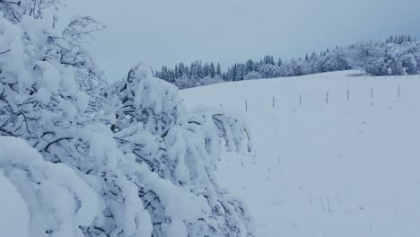 Ein-Schneebedecktes-Ackerland-In-Indre-Fosen,-Kreis-Tröndelag,-Norwegen-–-Rückzugsaufnahme