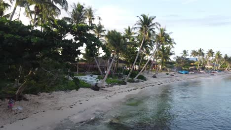 Cafés-and-homestays-on-tropical-beach-fringed-with-coconut-palms-at-sunset