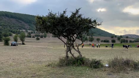 Local-people-recreation-picnic-play-volleyball-outdoor-outside-in-a-scenic-landscape-green-hill-mountain-forest-in-cloudy-weather-blue-sky-mountain-climate-team-league-of-sport-game-competition-Iran