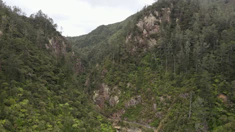 Drone-video-of-Karangahake-Gorge-region-that-combines-gold-mining-history-and-natural-beauty