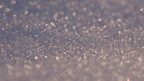 Close-up-shot-of-snow-with-backlight-from-the-low-evening-sun,-shallow-depth-of-field