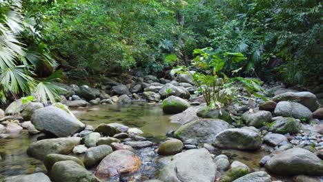 Relaxing-time-floating-on-rocky-stream-surrounded-by-greenery-in-Minca,-Colombia