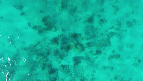 Drone-descends-to-coral-heads-under-clear-bubbling-ocean-water-in-Caribbean