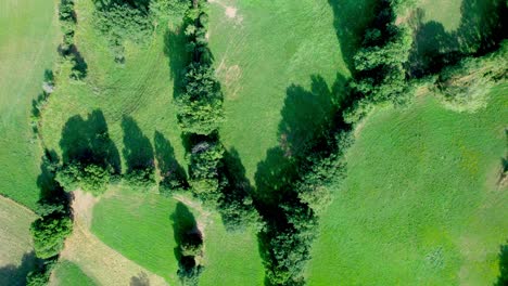 Green-meadows,-tree-lines-and-private-of-rural-France,-aerial-top-down-view