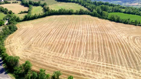Agriculture-field-after-harvesting,-aerial-drone-view