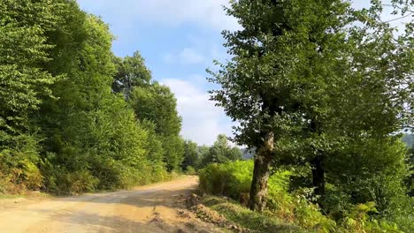 road-trip-highlander-drive-adventure-in-forest-highland-offroad-tour-in-mountain-in-Iran-natural-landscape-wide-view-scenic-shot-wonderful-panoramic-iconic-tree-in-Hyrcanian-nature-Gilan-cloudy-sky