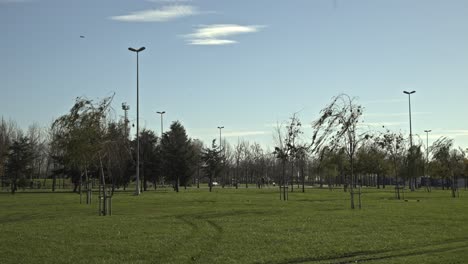 Parque-Costero-Lleno-De-árboles-En-Maltepe,-Estambul